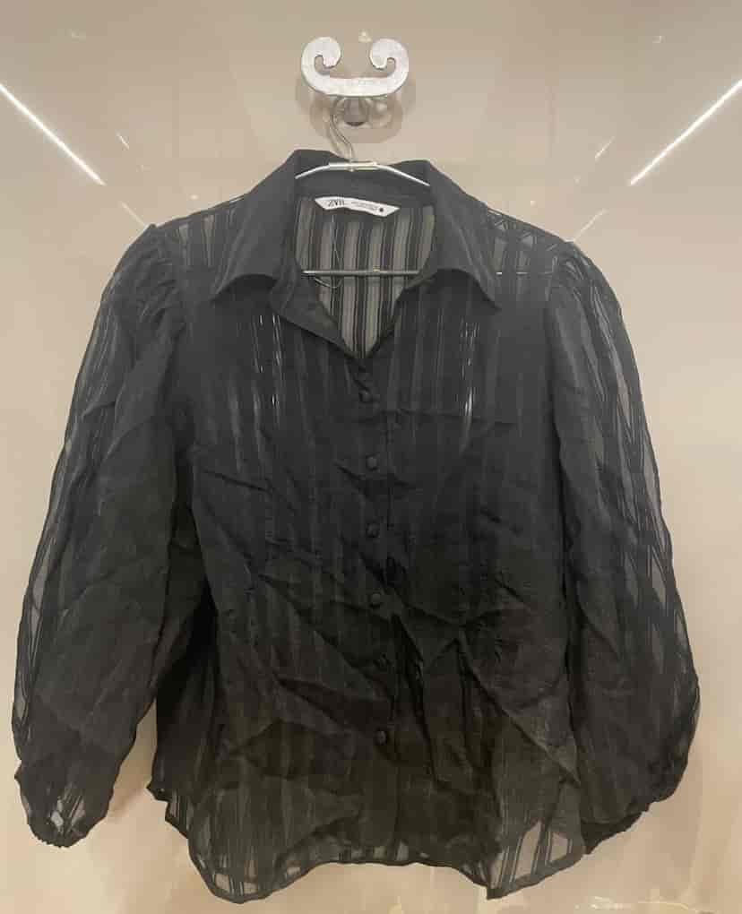 Zara black sheer full sleeve top